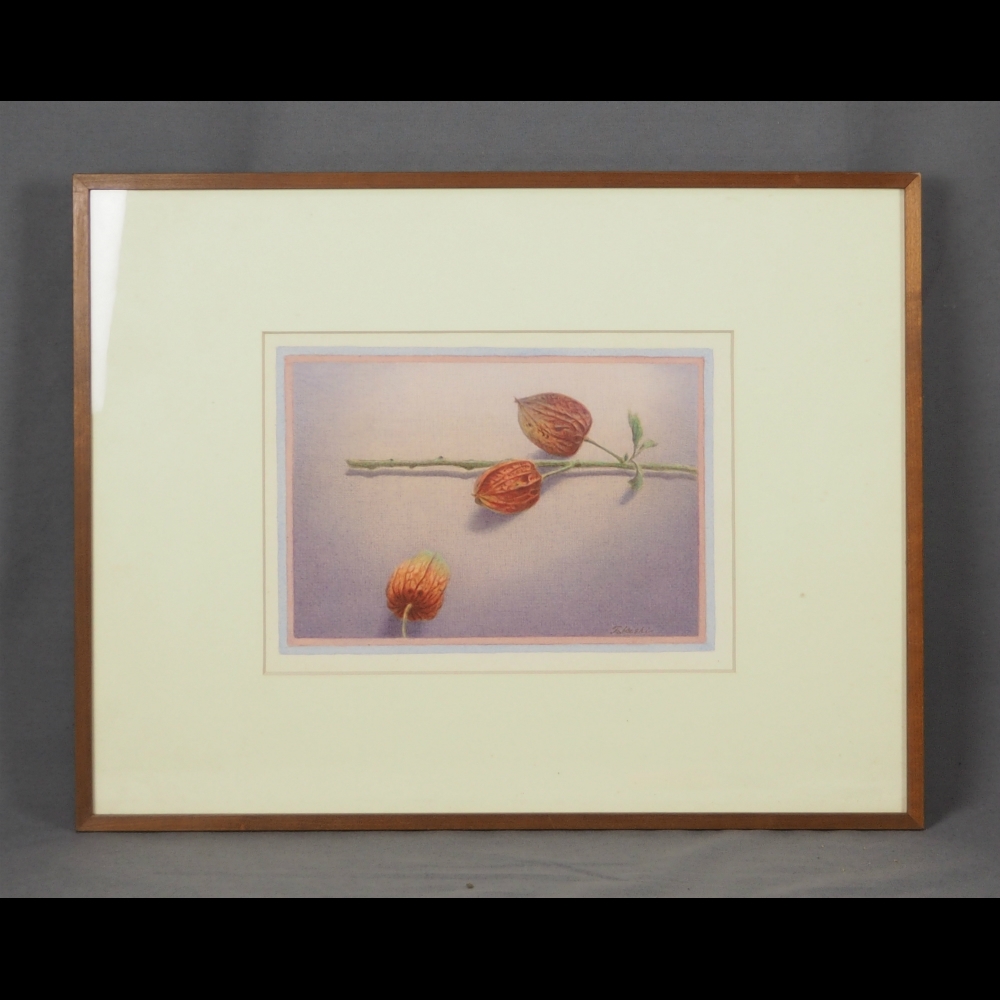 馬場豪-1￼のトップイメージ