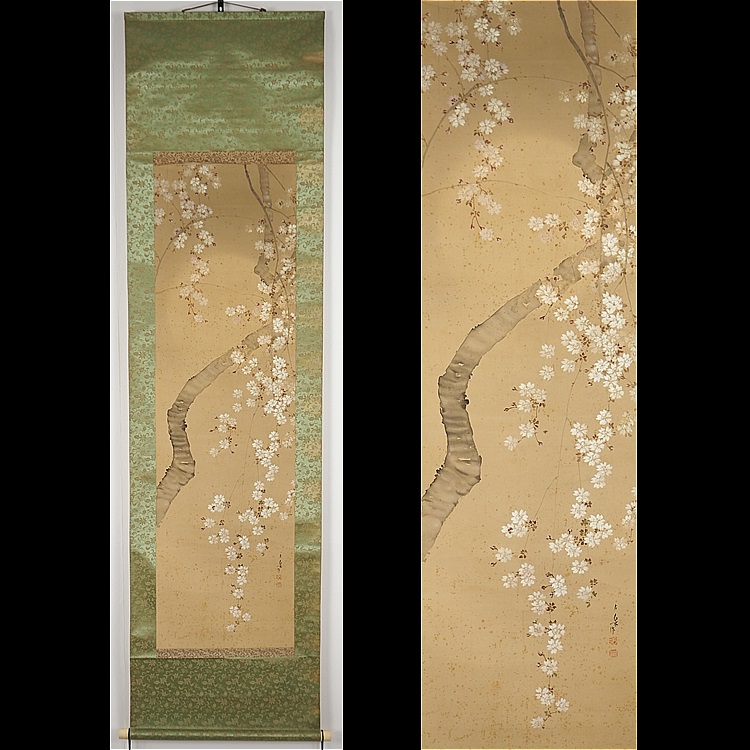 高木古泉-3￼のトップイメージ