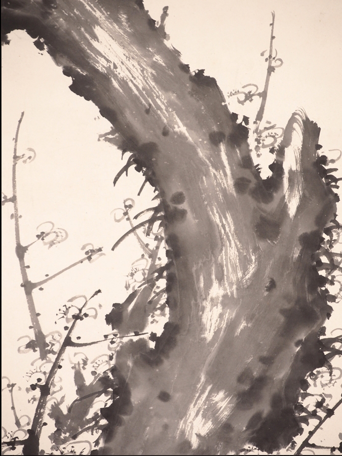 値下げ】 逸品 掛け軸 桐箱付き 金武翠輝『熊野』日本画